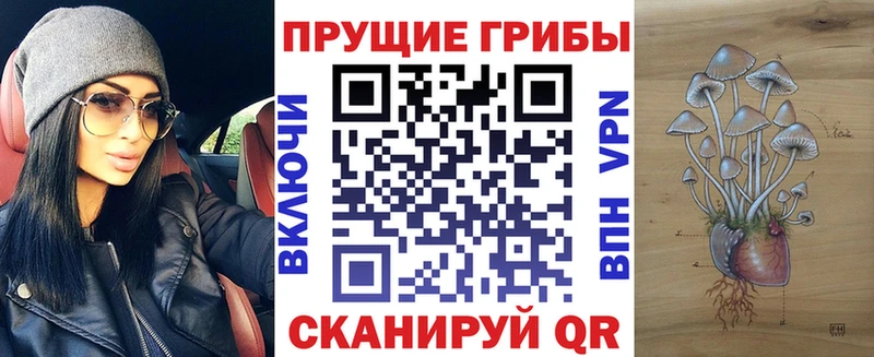 Псилоцибиновые грибы Cubensis Гусев