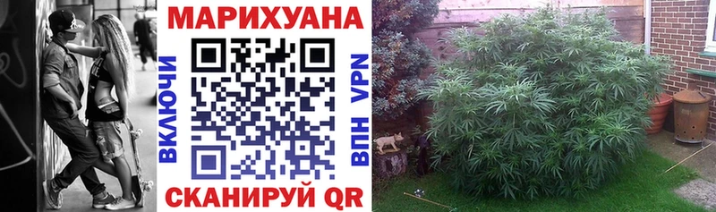 Марихуана планчик  Купить закладки  Гусев 